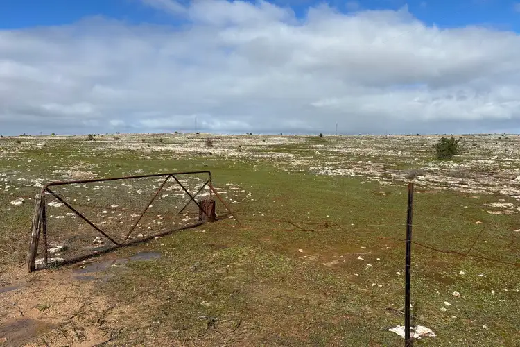 Fifth view of Homely rural property listing, LOT 317 Nowhere Else Road, Sheringa SA 5607