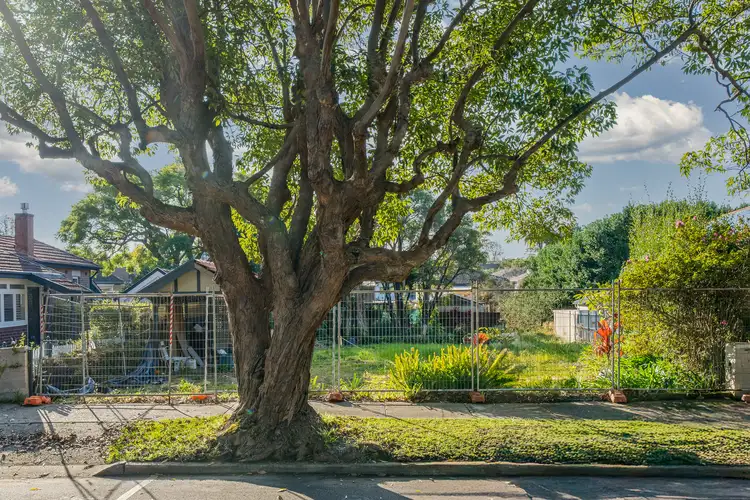 Third view of Homely house listing, 26 Hollywood Crescent, Willoughby NSW 2068