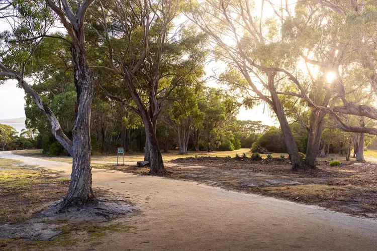 Fourth view of Homely house listing, 180 Badger Corner Road, Lady Barron TAS 7255