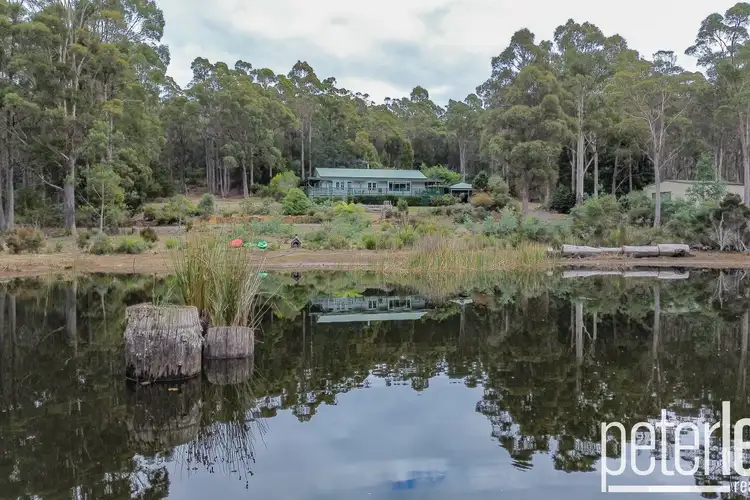 Main view of Homely house listing, 100 Loriwood Drive, Turners Marsh TAS 7267