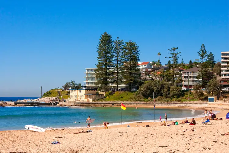 Sixth view of Homely apartment listing, 7/39-41 Pacific Parade, Dee Why NSW 2099