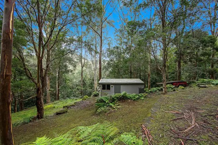 Seventh view of Homely rural property listing, Lot 3 Bunning Creek Road, Yarramalong NSW 2259