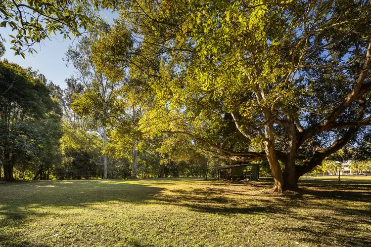 Sixth view of Homely rural property listing, 91 Lancing Street, Pullenvale QLD 4069