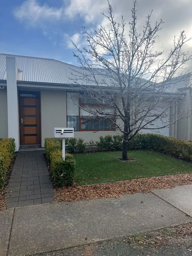 47 Alison Street, Ascot Park SA 5043