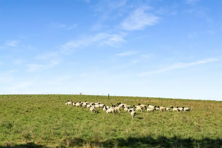 Second view of Homely rural property listing, 28 & 115 Eagle Rock Lane, Joadja NSW 2575