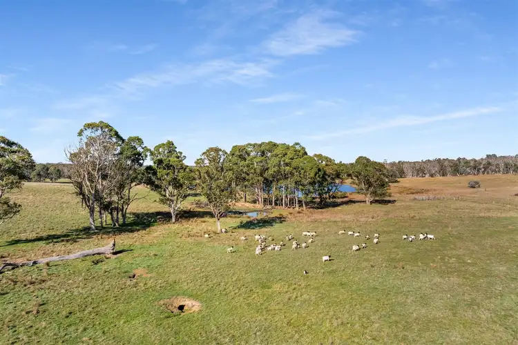Sixth view of Homely rural property listing, 28 & 115 Eagle Rock Lane, Joadja NSW 2575