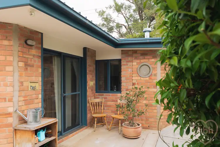Second view of Homely studio listing, 15A Miller Street, O'connor ACT 2602
