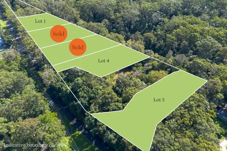 LOT 1, 336 Old Bruce Highway, Tanawha QLD 4556