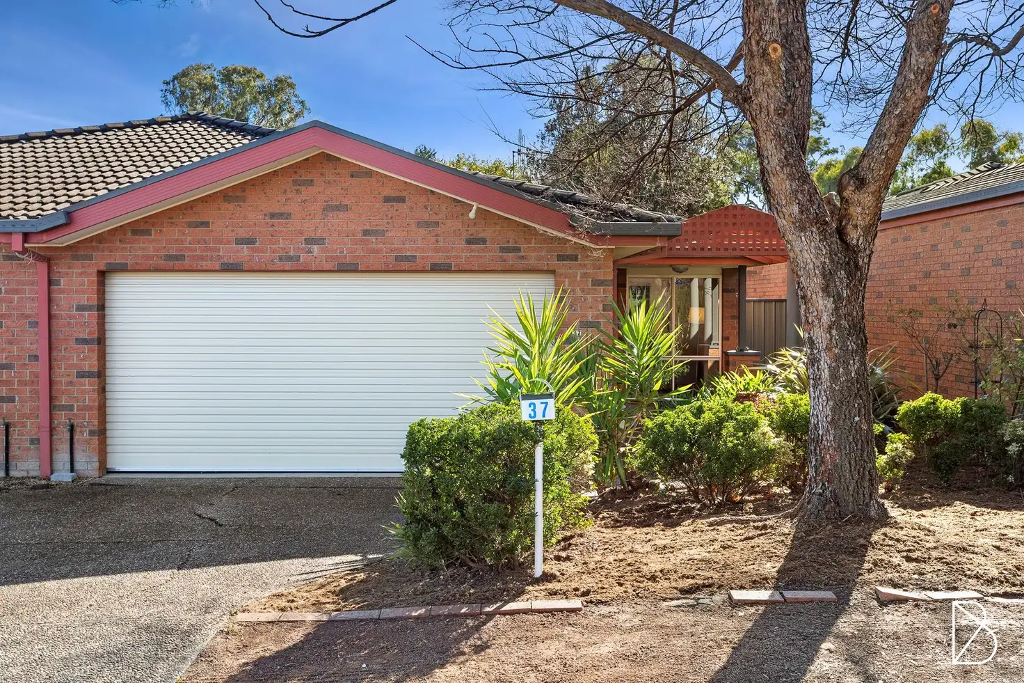 Main view of Homely townhouse listing, 37 Bywaters Street, Amaroo ACT 2914