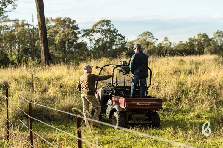 Seventh view of Homely rural property listing, 2092 Putty Road, Bulga NSW 2330