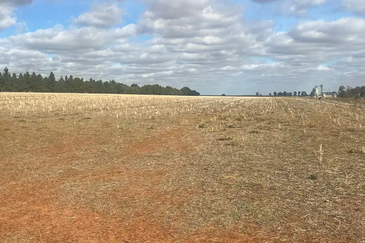 Second view of Homely land listing, LOT 32 Milthorpe Street, Oaklands NSW 2646