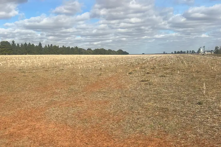 Third view of Homely land listing, LOT 32 Milthorpe Street, Oaklands NSW 2646