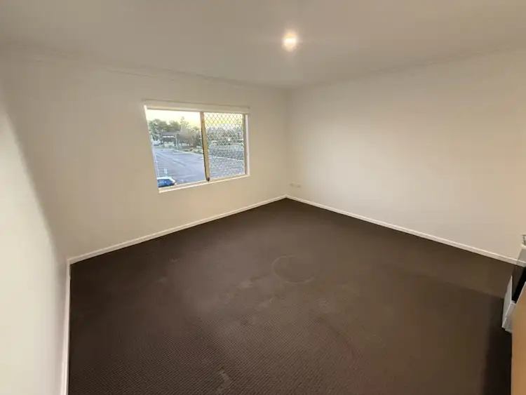 Fifth view of Homely studio listing, 1/187D Jacobs Drive, Sussex Inlet NSW 2540