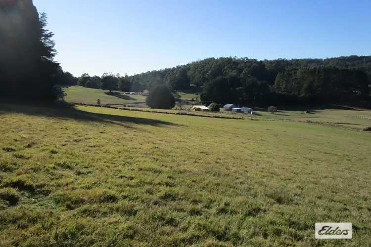Second view of Homely rural property listing, 1951 Wilmot Road, Lower Wilmot TAS 7310
