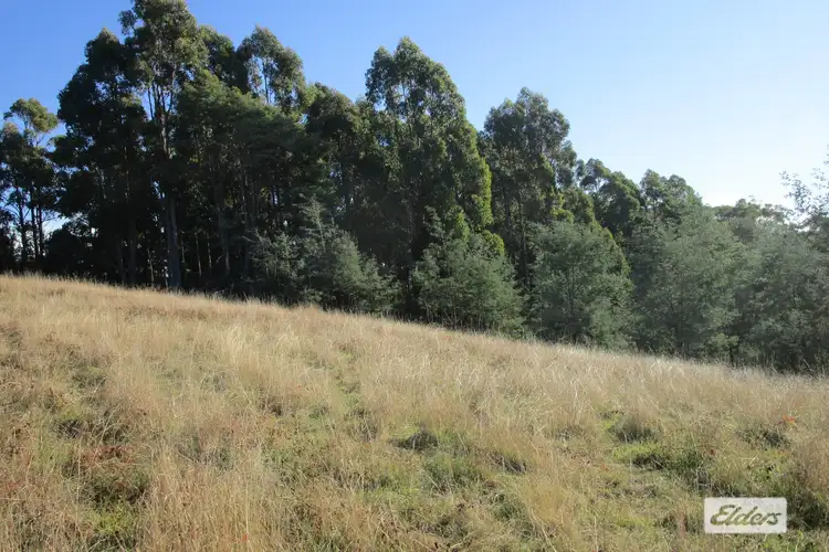 Fourth view of Homely rural property listing, 1951 Wilmot Road, Lower Wilmot TAS 7310