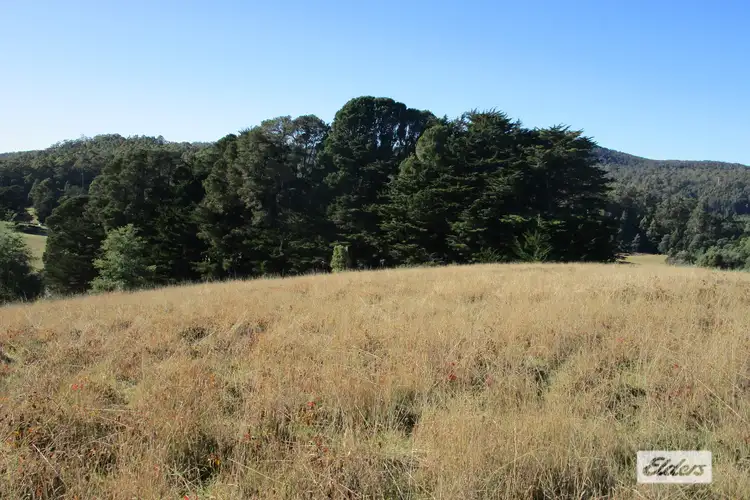 Fifth view of Homely rural property listing, 1951 Wilmot Road, Lower Wilmot TAS 7310