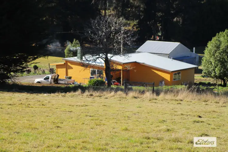 Seventh view of Homely rural property listing, 1951 Wilmot Road, Lower Wilmot TAS 7310