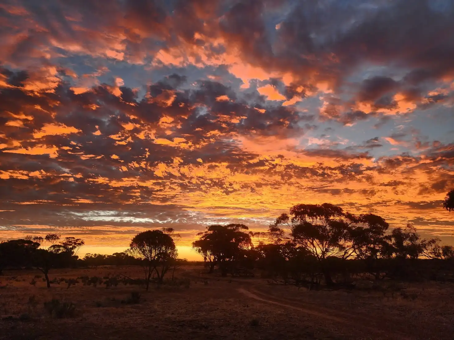 Main view of Homely land listing, 65 Richardson Street, Meckering WA 6405