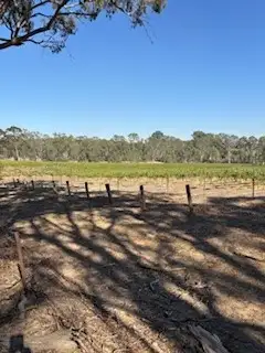 Sawmill Road