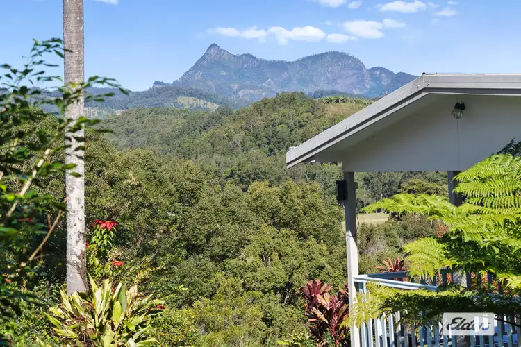 Main view of Homely rural property listing, 1678 Numinbah Road, Numinbah NSW 2484