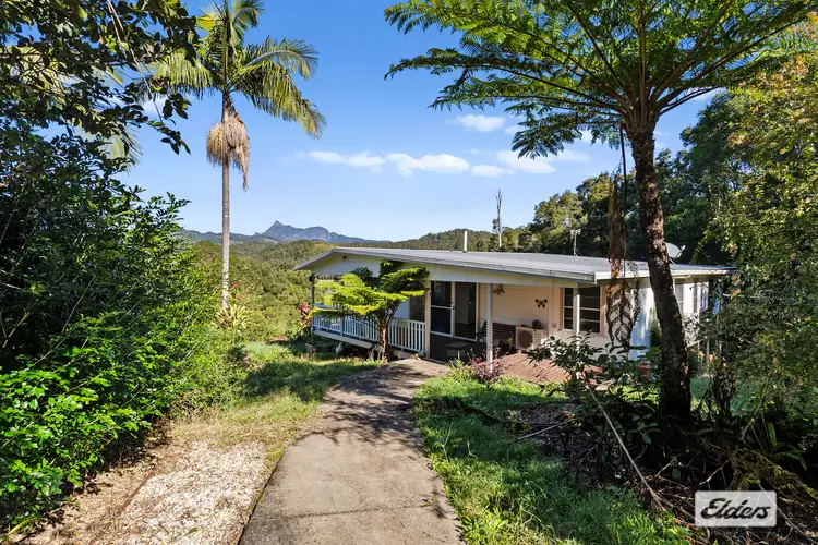 Sixth view of Homely rural property listing, 1678 Numinbah Road, Numinbah NSW 2484