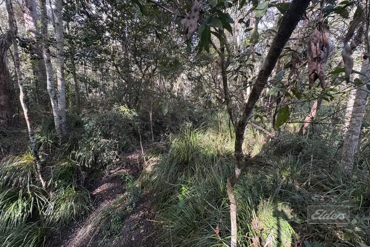 Sixth view of Homely land listing, Lot 692 Arbortwenty Six Road, Glenwood QLD 4570