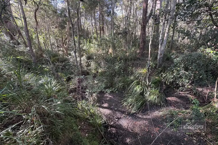 Seventh view of Homely land listing, Lot 692 Arbortwenty Six Road, Glenwood QLD 4570