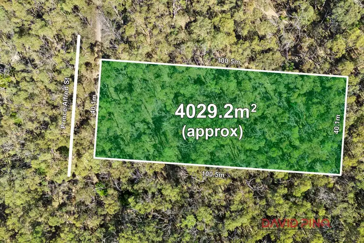 LOT 117 Prince Alfred Street, Riddells Creek VIC 3431