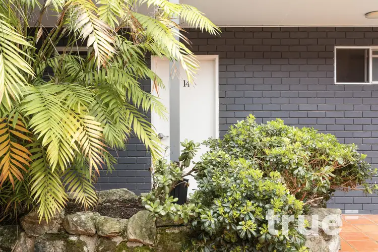 Fourth view of Homely studio listing, 14/3 Rayner Street, Lilyfield NSW 2040