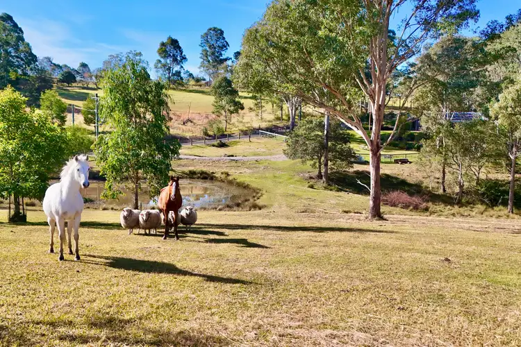 484b Comleroy Road, Kurrajong NSW 2758