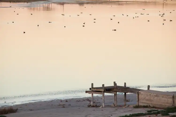 Seventh view of Homely land listing, 75 McEdward Street, Birdwoodton VIC 3505