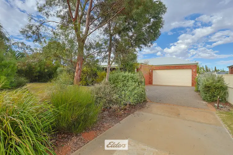 119 Wood Street, Gol Gol NSW 2738