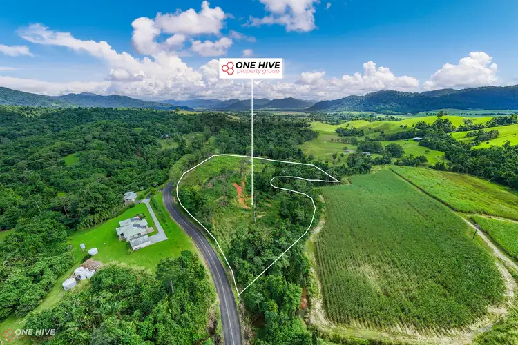 794 Silkwood Japoon Road