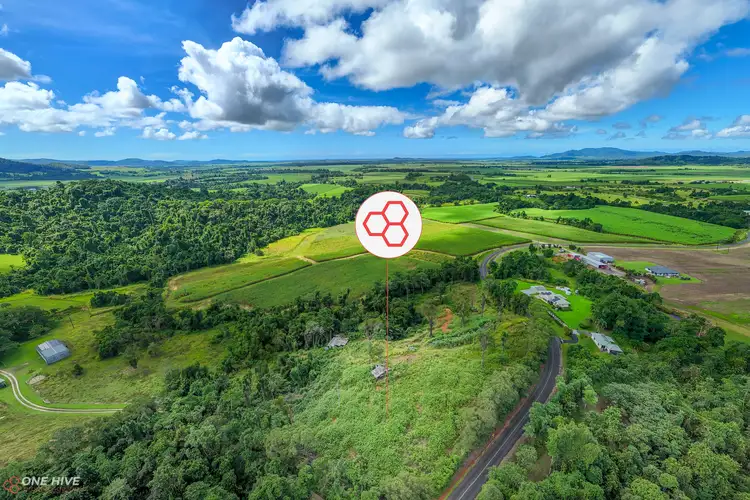 Second view of Homely rural property listing, 794 Silkwood Japoon Road, Silkwood QLD 4856