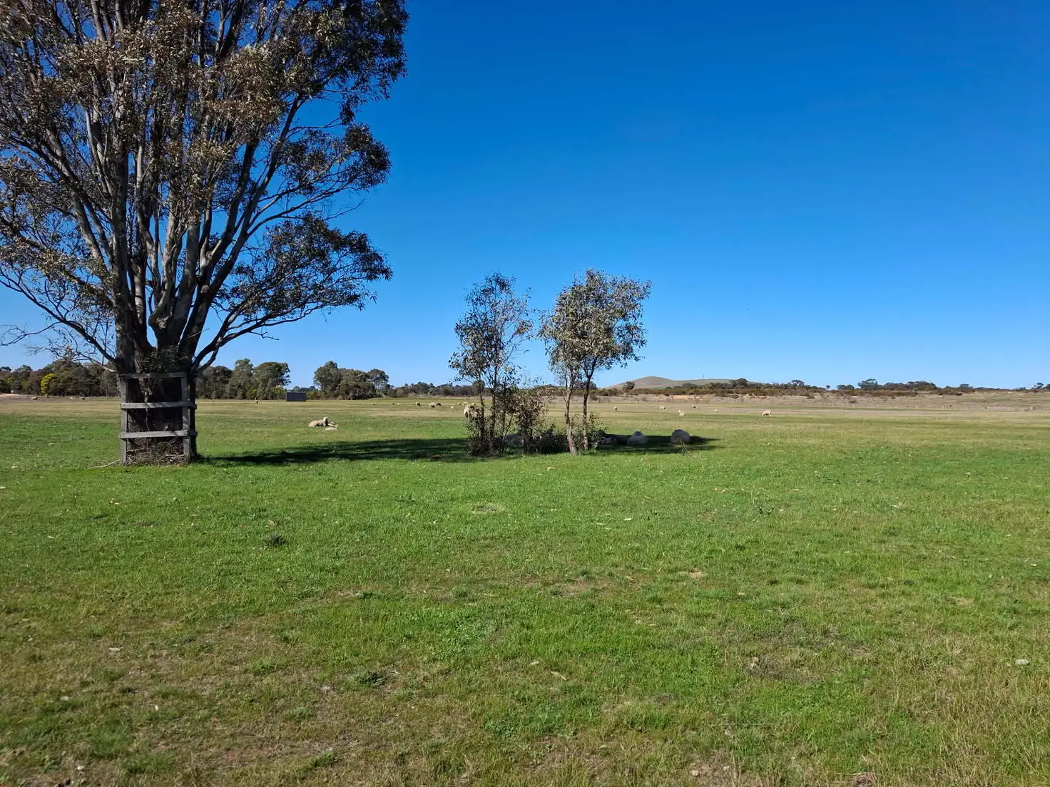 Main view of Homely land listing, 65 Halls Road, Talbot VIC 3371