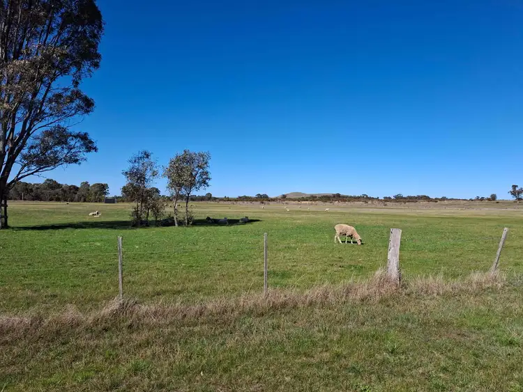 Fourth view of Homely land listing, 65 Halls Road, Talbot VIC 3371