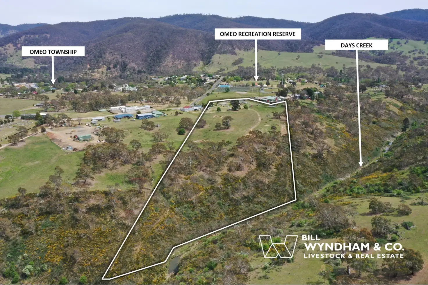 Main view of Homely house listing, 93 Bilton Street, Omeo VIC 3898