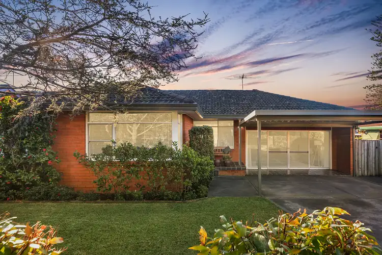 Main view of Homely house listing, 17 Balaclava Road, Berowra NSW 2081