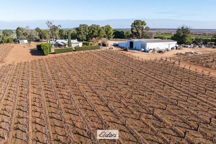 Second view of Homely rural property listing, 178 Arumpo Road, Mourquong NSW 2739