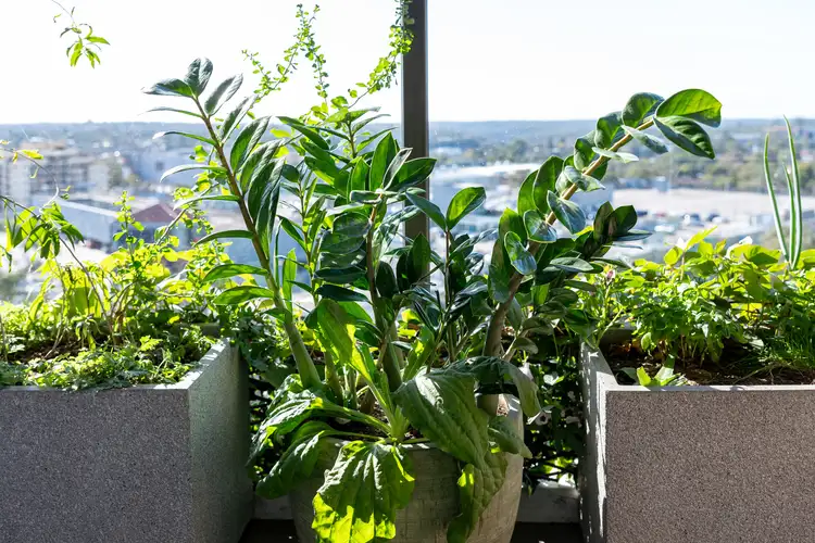 Sixth view of Homely apartment listing, 1201/135-137 Pacific Highway, Hornsby NSW 2077