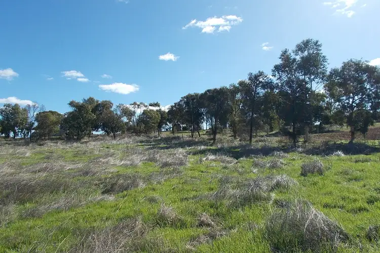 55 Stone Street, Northampton WA 6535