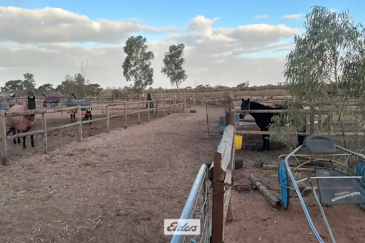 Third view of Homely rural property listing, 227 Nineteenth Street, Irymple VIC 3498