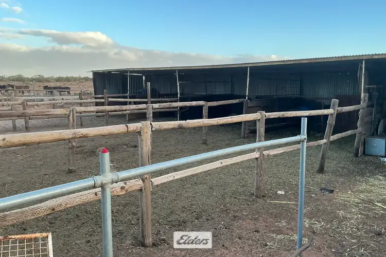 Fourth view of Homely rural property listing, 227 Nineteenth Street, Irymple VIC 3498
