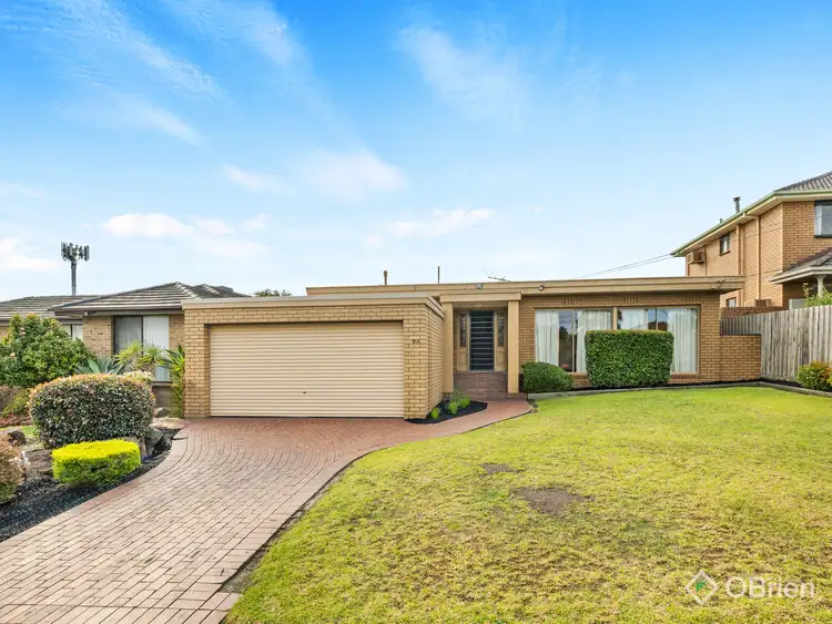 25 McFarlane Court
