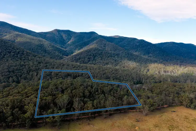 14 Yankees Gap Firetrail, Bemboka NSW 2550