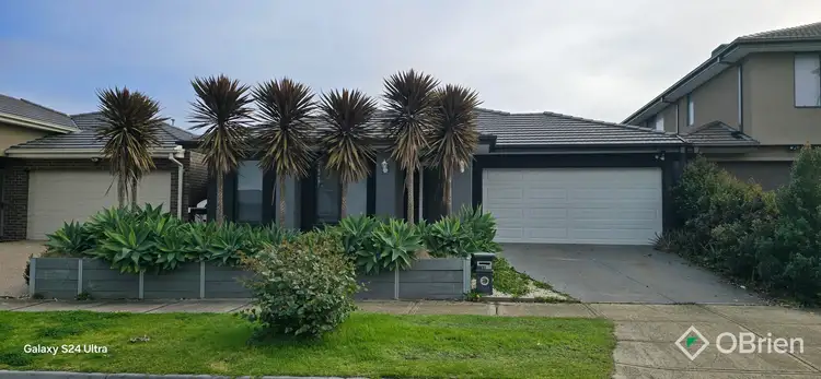 11 Bernfae Avenue, Clyde North VIC 3978