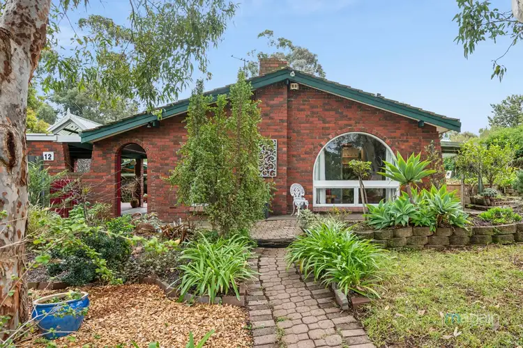 12 Antilla Way, Flagstaff Hill SA 5159
