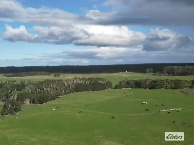 Main view of Homely rural property listing, 767 Mount Stanley Road, Lymwood TAS 7256