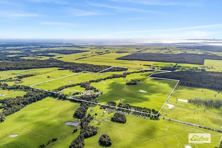 767 Mount Stanley Road, Lymwood TAS 7256