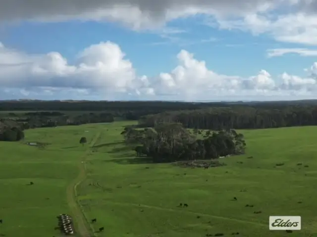 Fourth view of Homely rural property listing, 767 Mount Stanley Road, Lymwood TAS 7256